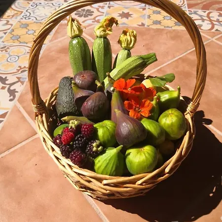 샬레 Rural Home, Finca Ecocielo 베가데산마테오